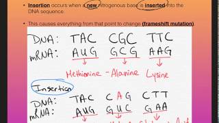 B.6E - Mutations in DNA Video