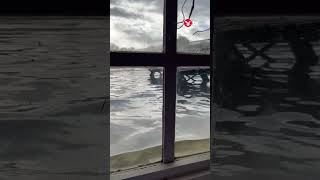 Thames rises above windows of London riverside pub #shorts #viral