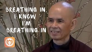 Breathing in, I Know I'm Breathing in | Thich Nhat Hanh (short teaching video)
