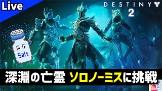 【DESTINY2/デスティニー2】ハンターで終わらせる！「深淵の亡霊」ソロノーミスチャレンジ【ゲーム実況】