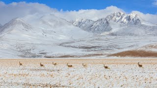 Inside Tibet |Part 3| Escape from Lhasa to the wilderness. On the road.