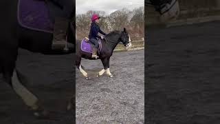 My first pony!(btw pls ignore my face)#horse #ponypower #horseenthusiast #equestrian #ponyfun #pony