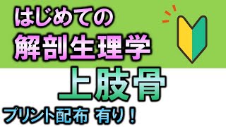 【はじめての解剖生理学】上肢骨