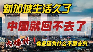 新加坡生活久了，就回不了中國了｜原因驚掉下巴｜教育｜醫療｜養老｜