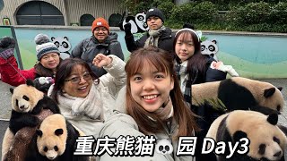 🇨🇳重庆成都之旅｜今天去看熊猫啦🐼还去了洪崖洞 李子坝 观音桥💓去拍了财神妆照只要289？！