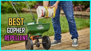 Top 5 Best Gopher Repellents [Review] - Mole \u0026 Gopher Repellent Granules/Sonic Spike Mole [2023]