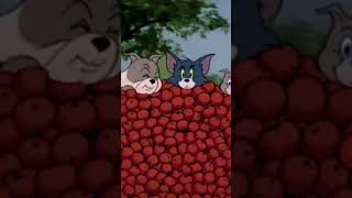 @Tom and Jerry 91 - Pup on a Picnic (1955) part 7