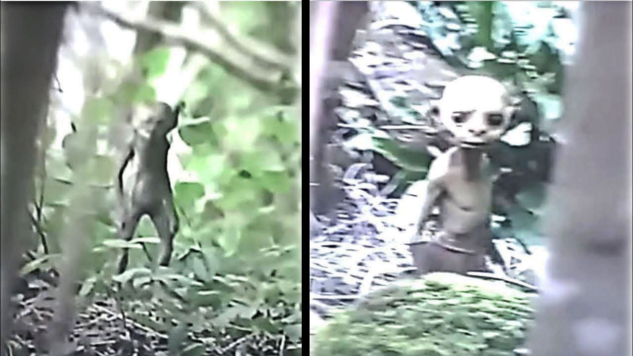 This Hiker Made A Chilling Discovery While Exploring An Abandoned Trail