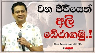 වන ජීවියෙන් අලි බේරාගමු.!  | Tissa Jananayake with Life ( EP 55)