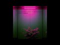 Kaelan - Preface [TR001]