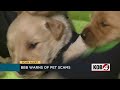 BBB New Mexico warns about puppy scams on the rise