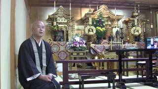 堺西栄寺　朝の法話　28/9/13　償いをする事。