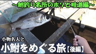 名所のホソで小鮒釣り！畦道から小川に竿を垂らすと小物のお魚が連発入れ食い！日本の原風景で小物釣り名人と小鮒をめぐる旅【後編】