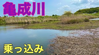 亀成川　乗っ込み　千葉県印西市