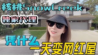 独家代理核桃SnowCreek泳池别墅｜上市一天变网红屋