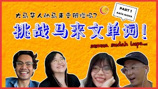 大马华人的马来文很烂吗？挑战马来文单词！Saya Semua Sudah Lupa...【KATA NAMA篇 - PART 1】