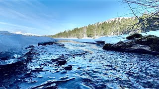 Dødesskogen Dividalen - Ørret, bål og nordlysshow