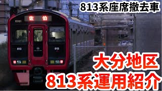 【大分地区でも運行開始】JR九州813系座席撤去車”昼の大分地区運用紹介”（2022年9月～）