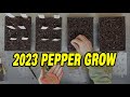 Starting 2023 Pepper Seeds