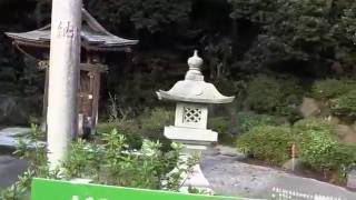 鎌倉古寺ベスト１０－一遍上人ゆかりの時宗総本山「遊行寺」のすべて⑤徳川家とゆかりの宇賀神社へ行く