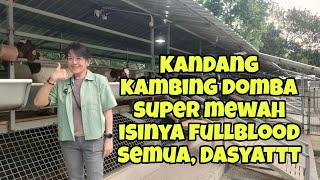 Kandang Kambing Domba Super Mewah, Isinya FullBlood Semua, Dasyatttt