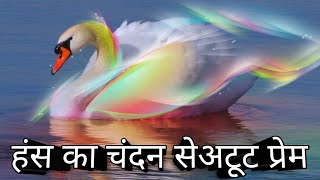 sangat karo ni nirmal sant ki mhari heli || हंस और चंदन का सुंदर भजन ||#हेलीभजन #मारवाड़ीभक्तिसागर