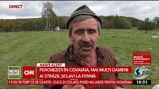 Rețea de sclavi la ferme din Covasna. Taximetriștii luau oameni ai străzii și îi vindeau ciobanilor