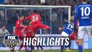 FC Schalke 04 vs. Eintracht Frankfurt | 2016-17 Bundesliga Highlights