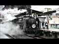 【c61 20】新緑のslぐんまみなかみ【旧型客車】jr east joetsu line sl gunmaminakami jnr class c61