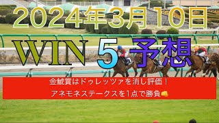 【WIN5 予想 2024年3月10日】オークランドTRT　東風S　金鯱賞　フィリーズレビュー　アネモネS