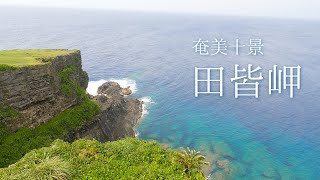 4.奄美十景「田皆岬」と沖永良部島の綺麗な海を巡る旅