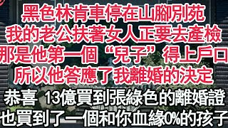 黑色林肯車停在山腳別苑，我的老公扶女人正要去產檢，那是他第一個兒子得上戶口，所以他答應了我離婚的決定，恭喜13億買到張綠色的離婚證，也買到了一個和你血緣0%的孩子