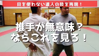 【達人の技】目を使わない達人の技を再現！！推手が無意味？ならこれを見ろ！