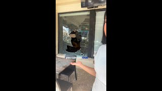 Police investigate shooting near Mizner Park in Boca Raton