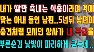 【실화사연】내가 쌀만 축내는 식충이라며 격에 맞는 아내 들인 남편 5년뒤 남편이 충견처럼 모시던 상사가 내 직급을 부른순간 낯빛이 파리하게 굳는데