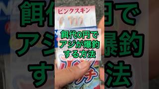 餌代0円で『アジ』が爆釣する方法