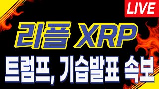 [리플 XRP] LIVE 긴급속보! \