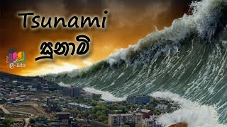 සුනාමි රළ  වල විශාලත්වයන් | the sizes of tsunami waves [ ENG SUB ]