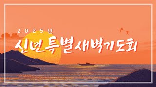 삼보교회 2025년 신년특새 / 분별의 영을 주소서 (고전 12:1-3)