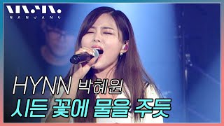 레전드 라이브 갱신⭐️HYNN 박혜원 ; 시든 꽃에 물을 주듯 _Realmusic난장