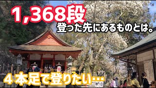 【香川県・金毘羅宮】こんぴらさん奥社に行った気になれるpart.2全1368段の先の厳魂神社から見える景色