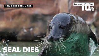 Zoos ramp up animal protections amid seal's bird-flu related death