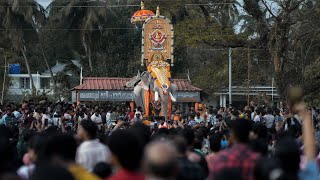 പാർക്കാടിയിൽ പൂരം പെയ്തിറങ്ങി | പാർക്കാടി പൂരം 2025 | PARKKADI POORAM 2025