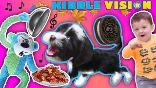 OUR PUPPY DOG TALKING ABOUT FOOD!  FUNnel Vis OREO Songs Compilation Vlog + Climbing Wall T