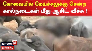 Kovai | மேய்ச்சலுக்கு சென்ற கால்நடைகள் மீது ஆசிட் வீச்சு ! | Kallar | Tamil News