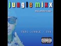 DEEWANI MASTAANI (jungle mixx) - AJ (the mixmaster)