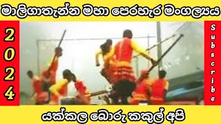 මාලිගාතැන්න මහා පෙරහැර මංගල්‍යය 2024 /Yakkala boru kakul 😲🙂🤩 #gampahaekamuthuborukakul #gampaha