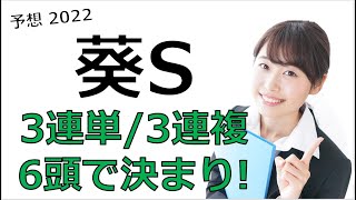 葵ステークス2022 予想 【3連単／3連複で勝負できる6頭】