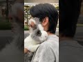 🐰逛街和baba贴贴冀 盖脸猫猫兔 萌兔来袭 萌宠日常记录