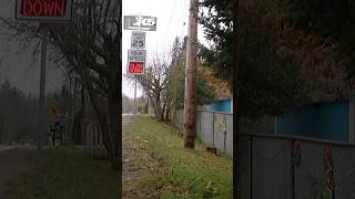 Human skull found on the side of the road in Tracyton, WA